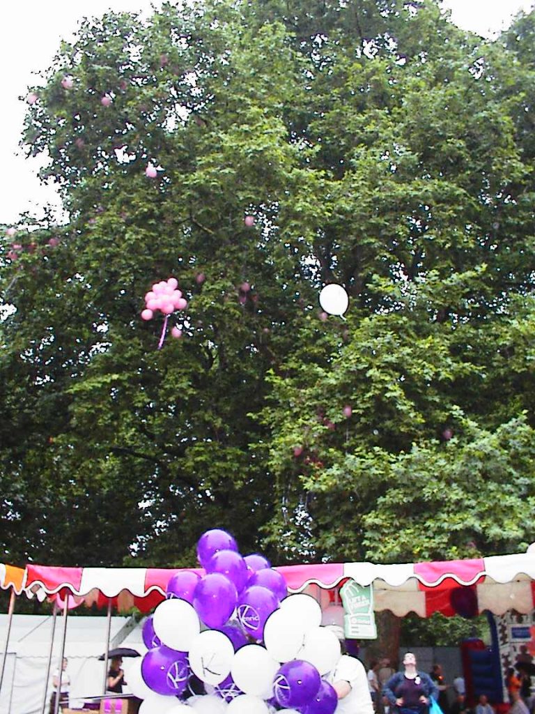 Some pink balloons try to do the sensible thing and escape Mardi Gras' 'Pride in the Park' 2003